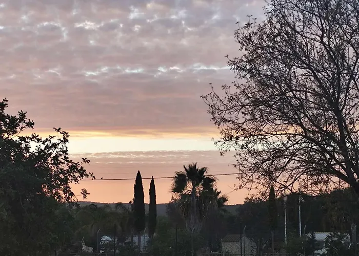 Semesterbostad Qingqing民宿